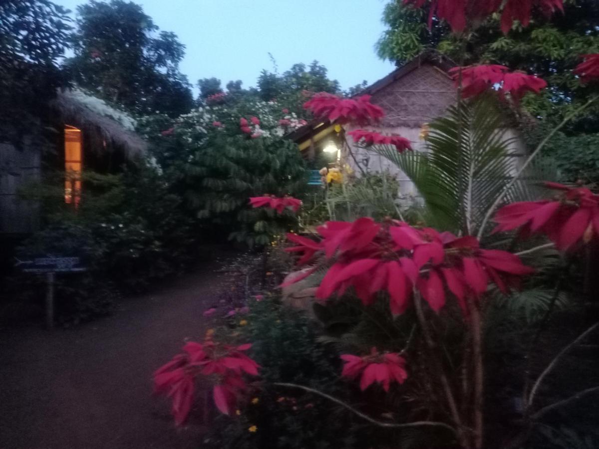 Tribal Village Homestay Banlung Eksteriør billede