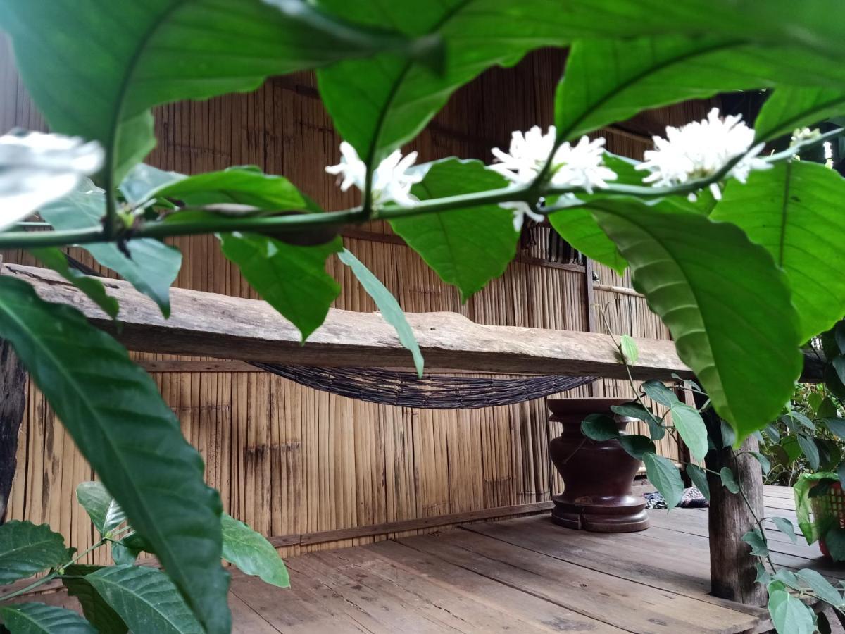 Tribal Village Homestay Banlung Eksteriør billede