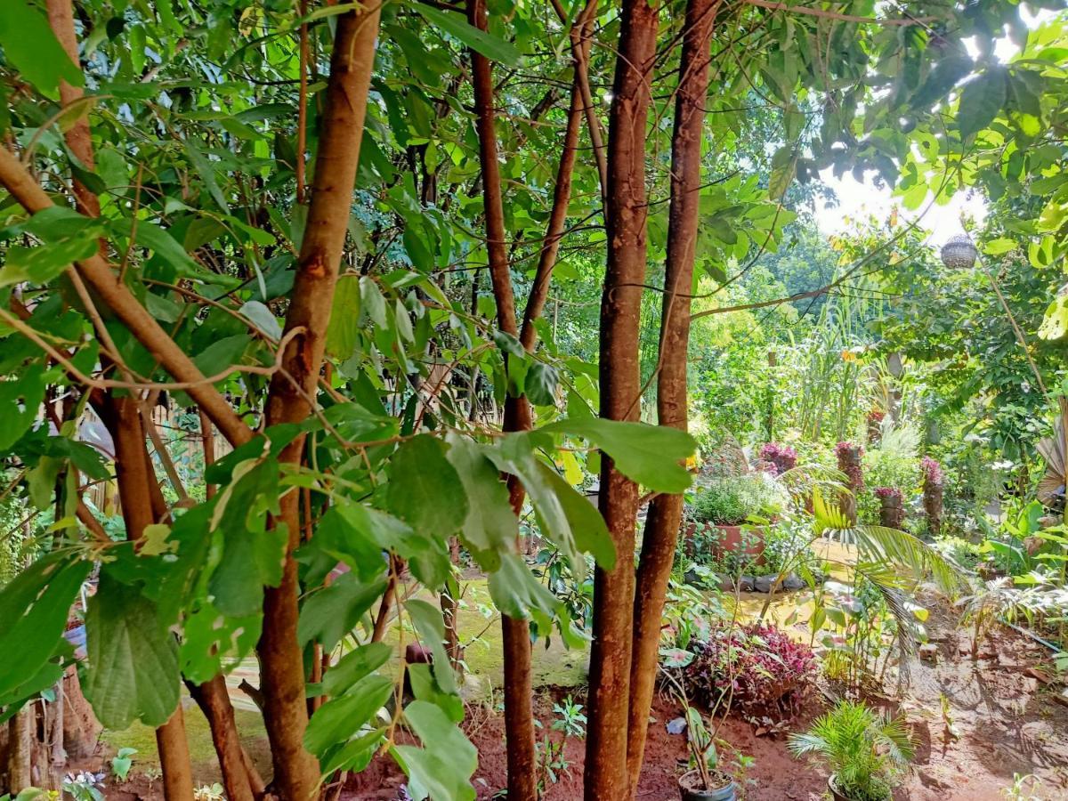 Tribal Village Homestay Banlung Eksteriør billede