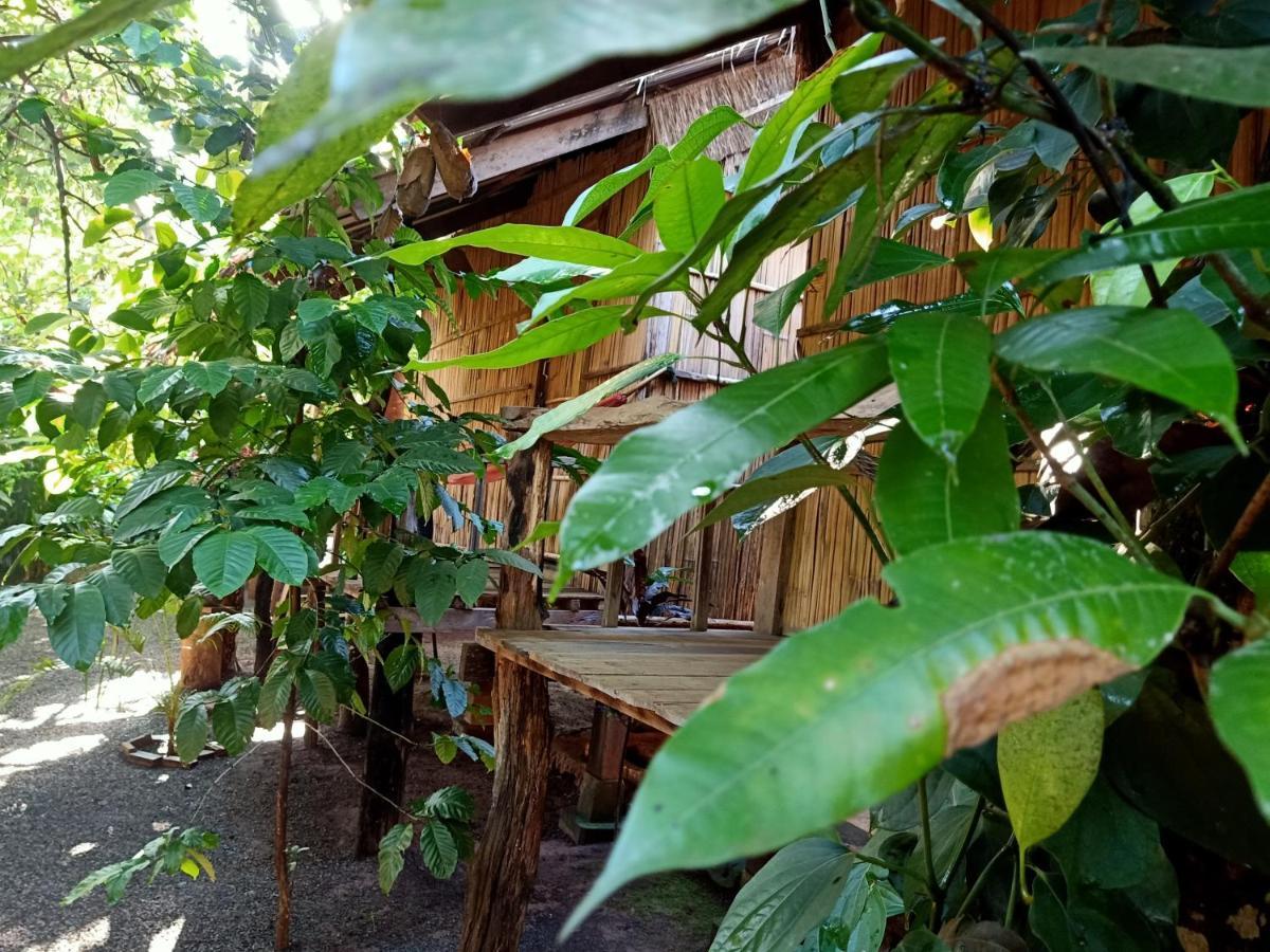 Tribal Village Homestay Banlung Eksteriør billede