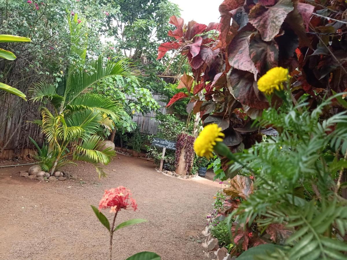 Tribal Village Homestay Banlung Eksteriør billede
