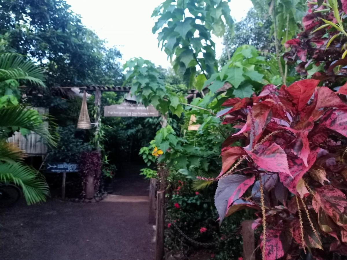 Tribal Village Homestay Banlung Eksteriør billede