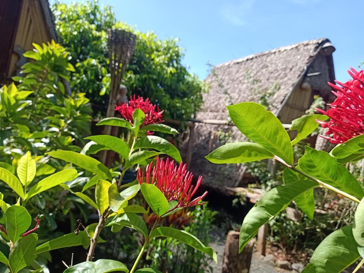 Tribal Village Homestay Banlung Eksteriør billede