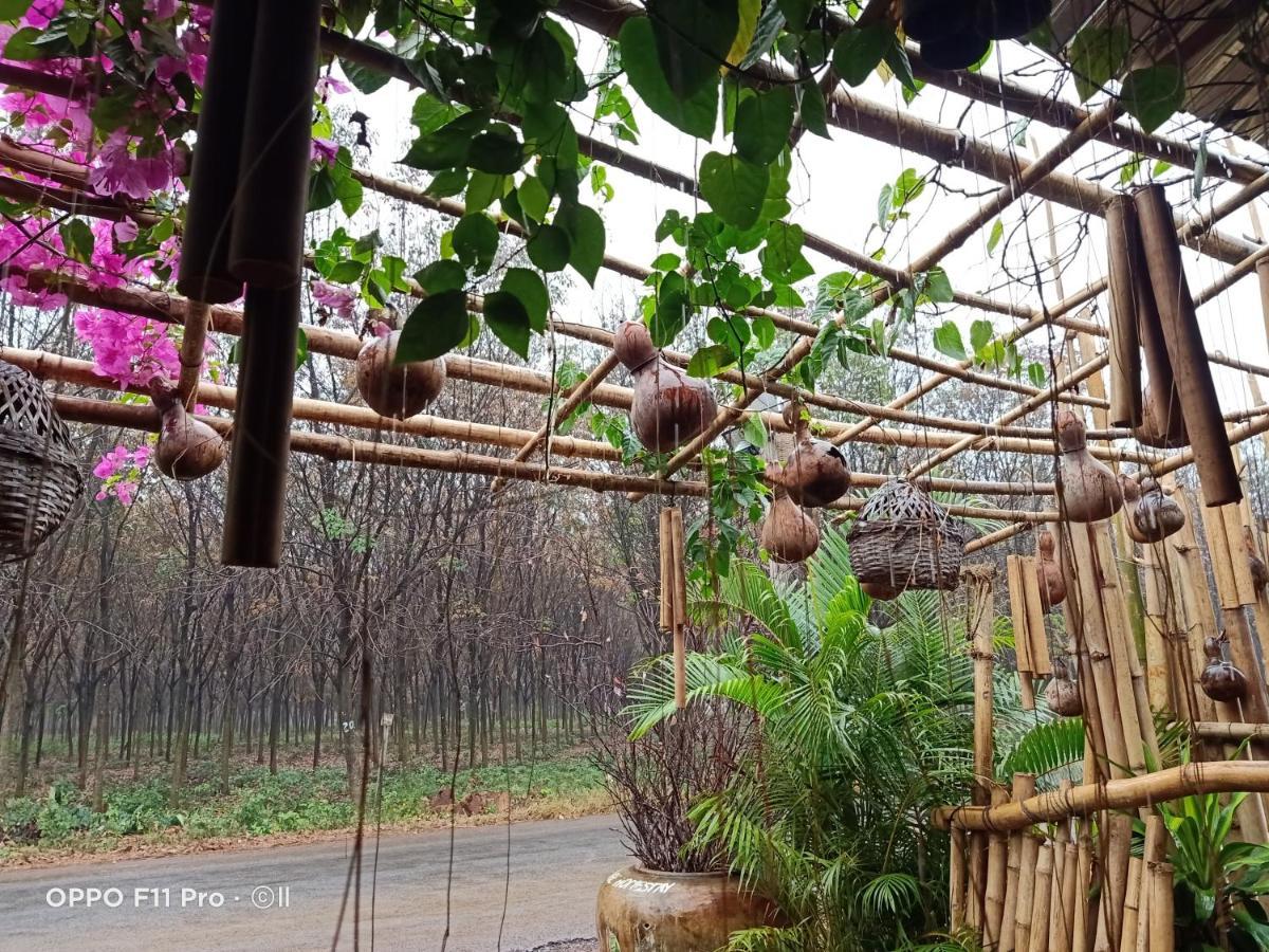 Tribal Village Homestay Banlung Eksteriør billede