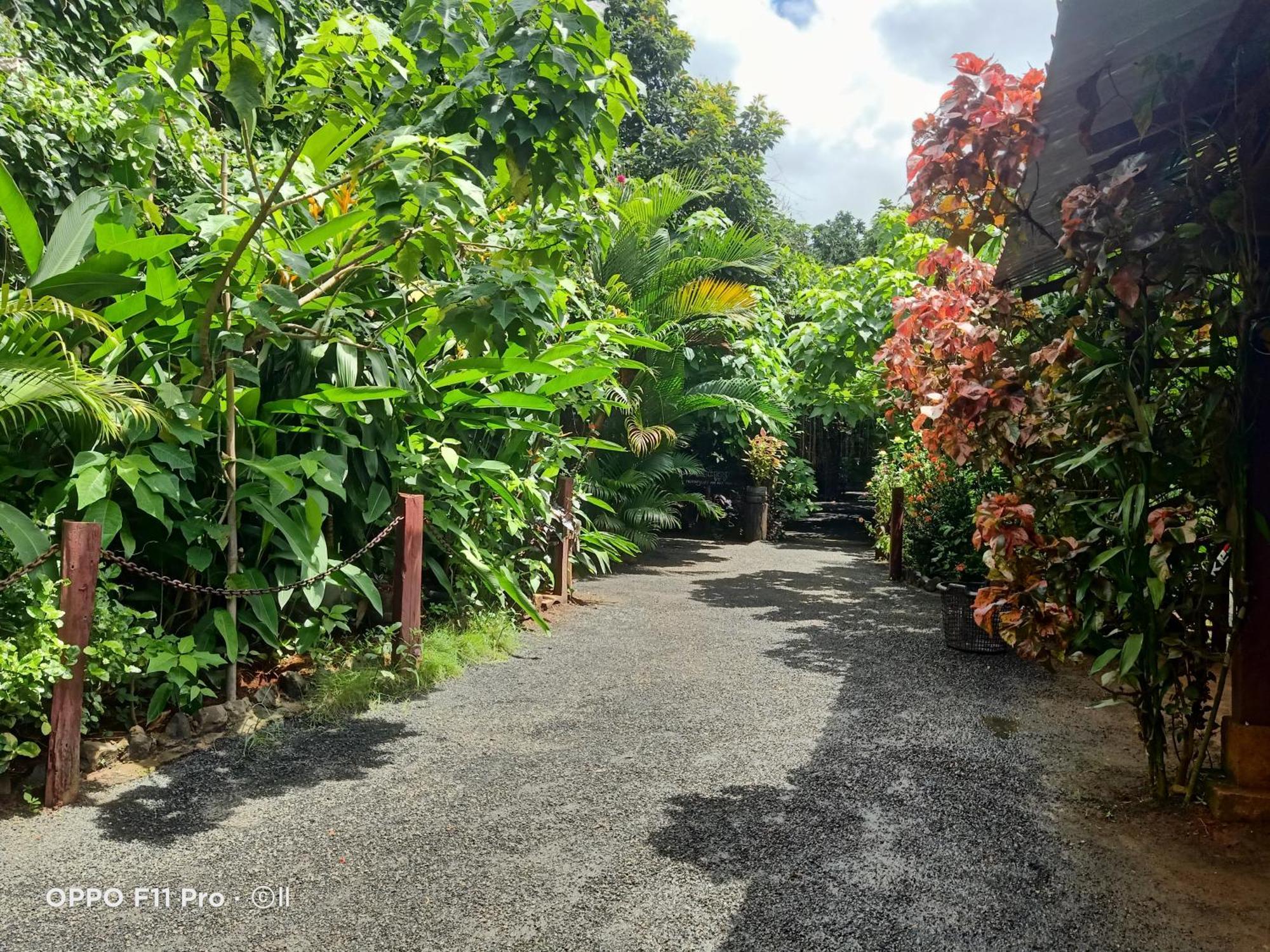 Tribal Village Homestay Banlung Eksteriør billede