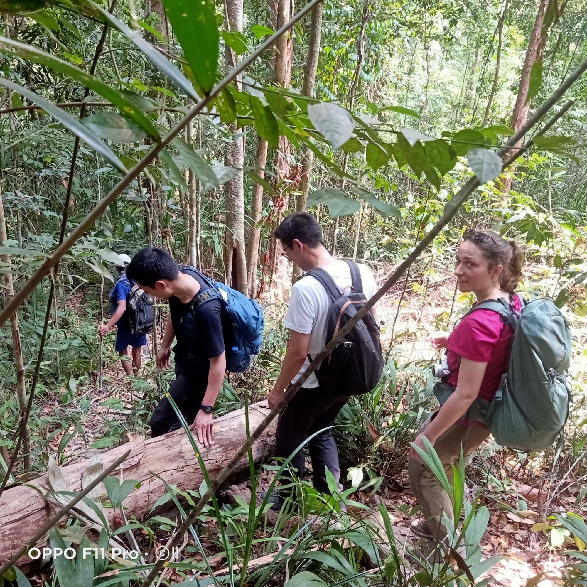 Tribal Village Homestay Banlung Eksteriør billede